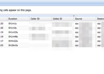 The Active Calls page allows you to see on-going calls from all your clients.